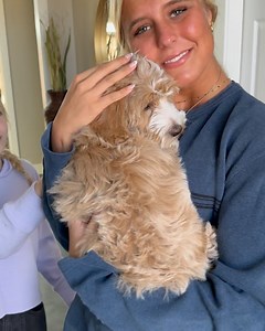 Heidi Powell on Reels