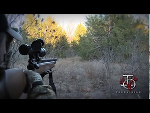 Air Rifle HOG KILL - IOTV BENJAMIN HOG HUNT