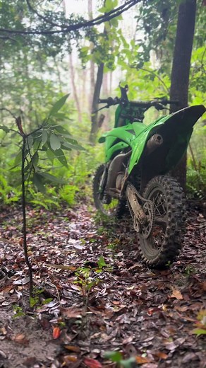 Nasty bitch #fyp #murder#bigboss