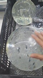 Big smelting quartz spheres ! | Crystal garden