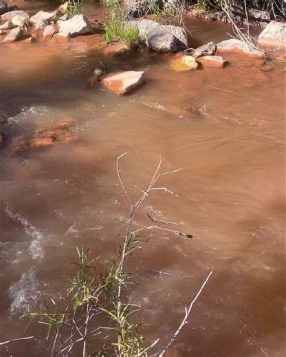 Stopped by the Sheep Creek bridges yesterday afternoon to see if we could see any salmon, they water was so murky (possibly from recent rain) that it was hard to see them. #flaminggorge #visitutah #lovewherewelive❤️ #visitflaminggorge #flaminggorgeresort | Flaming Gorge Resort