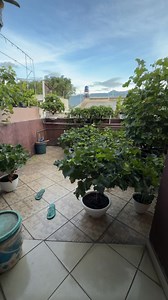 Asep Rohmana on Reels