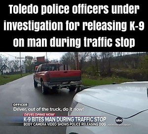 1.1K views · 23 reactions | Brandon Upchurch, a 38-year-old Black man, is demanding justice after Toledo Police stopped his vehicle and released a police dog that bit him seven times. Police later admitted they stopped the wrong car but still charged Upchurch with resisting arrest.  | Moor Info | Facebook