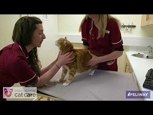 Performing a health examination