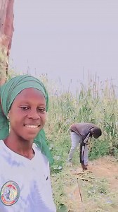 302K views · 13K reactions | Genre vidéo yi ngay romb TikTok guiss commentaire yéep positif genre gnépou di nianal jeukeur dji avancement et tout,mais une fois situation jeukeur dji changer niouy dresser table di ndékki gni commentairone di nianal jeukeur dji nioy nieuwaat commentaire nane leen wanéwou baxoul Juste pour vous faire comprendre que sénégalais you beuri kouniouy yeureum rek laniou beug | Citizen SN | Facebook