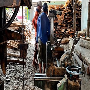 28K views · 213 reactions | What to do with this rotting log | Ontilo | Facebook