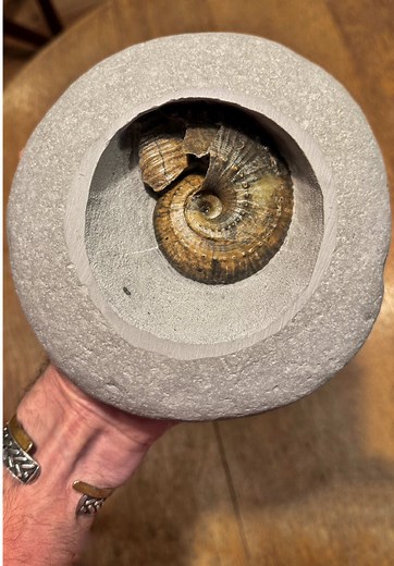 Discovering Stunning Green Ammonites from Charmouth