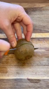 Growing kiwi from seed.. #plantsmakepeoplehappy #gardening #garden #trees #nature #timelapse #flowers #plants #naturelovers #fbreelsfyp #fruits #kiwi #fbyシvideo | Cez Flow