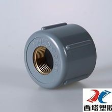 [Hot Item] PVC Pipe Fitting Copper Cap PVC Pipe with Thread Screw Type