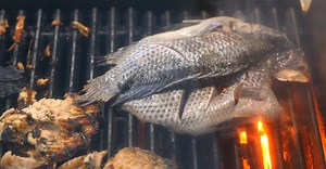 Video by Kindel Media on Pexels