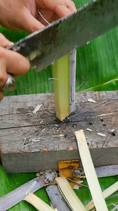 366K views · 2.2K reactions | asmr sugarcane | Satisfying Video | Facebook