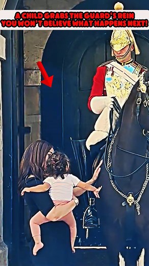 Watch What Happened #kingsguard #royalguard #tourists #horse #kingsguard #gameofthrones #london #britisharmy #got #army #military #baratheon #lannister #londonlife | Peter TopFan