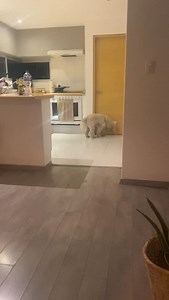 Giovanna Reynaud on Reels