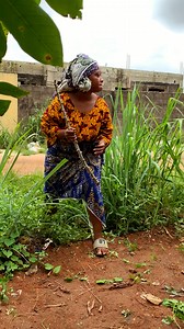 The Wicked woman | Fistici