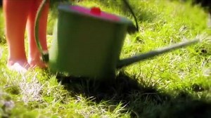 😂 Tis på dine blomster. De vil elske et golden shower! Guldkanden er vandkanden, som du bruger til potte – fyld dernæst kanden med vand, og skab et økologisk og helt naturlig plantenæring! ￼Køb din i dag på Coolstuff.dk - Direkte produktlink 👇 https://goo.gl/WaVXDh | Selfie Fails