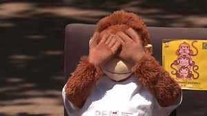 247K views · 10K reactions | Krici rijalitija i tri majmuna... "Kreni-promeni" traži oduzimanje frekvencija "Pinku" i "Hepiju" | Među Nama | Facebook