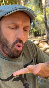 #lollipop #flamingo #eier #onepartner #voël #fanks #welcometothebush | Crazy Werrie