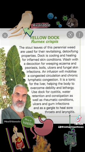 Yellow Dock Root Tea Benefit: Laxative • Tonic • Bacterial Infections • Fungal Infections • Arthritis • Respiratory Tract • Mucus Removal • Immune Support • Hormonal Balance • Digestion • Blood Sugar Balance • Bitters • Skin Health • Detox Support • Fasting Aid • Liver & Bile Production #HealthBossTV #HealingArtsApothecary #Healingartsme #Healthbosstv #Health #BeYourOwnHealthBoss #health | Healing Arts