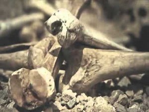 Dry Bones (Ezekiel 37) Intro