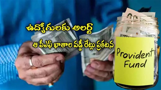 కేంద్రం కీలక నిర్ణయం.. పీఎఫ్ అకౌంట్ల వడ్డీ రేట్లు ప్రకటన.. ఫుల్ లిస్ట్ ఇదే!