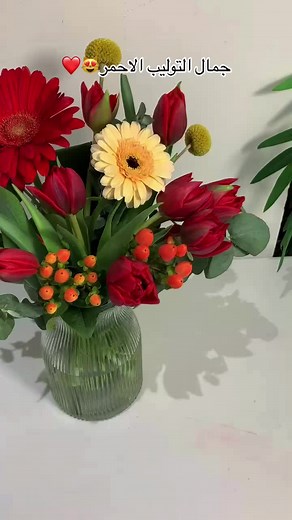 @هدايا جده _سيسيل على TikTok