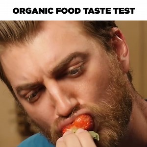 Is there a definite difference between organic and non-organic cat food? | Rhett & Link