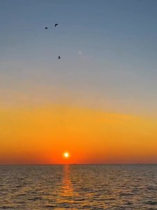 Cast your burden upon the Lord and He will sustain you. | PrayersDevotion