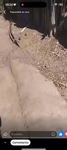 238K views · 3.6K reactions | EXPRESA SU MOLESTIA CONTRA LOS...