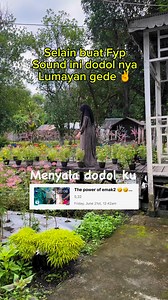 1.1K views · 83 reactions | Yuk di gass yuk soundnya 螺 #fyp #viral #reels #dodol #dollar #taman #tamanbunga | Maulida Jewelery | Facebook