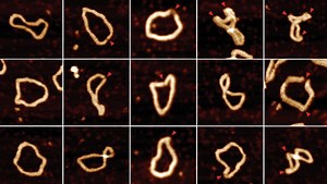 Scientists Observe DNA 'Dancing' for the First Time Ever