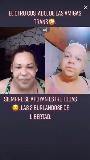 Cuentas recomendadas