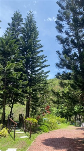 Find your peace amid the stunning vistas of Tagaytay Highlands #tagaytay #tagaytayhighlands #tagaytaywedding #tagaytaytrip #nature #philippines #trees #properties #luxuryhomes | Tagaytay Highlands