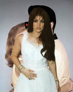 Priscilla Presley: The Queen of Elvis's Legacy