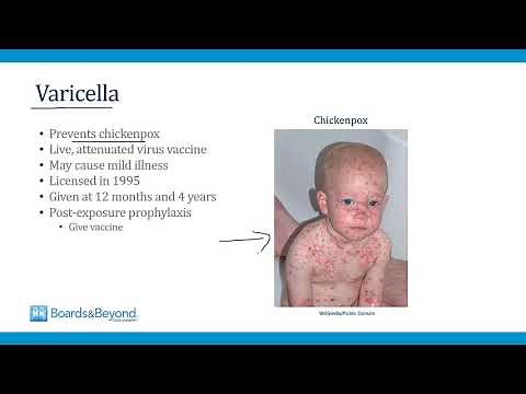 Pediatrics USMLE Step 2-3 — Vaccination — Boards and Beyond