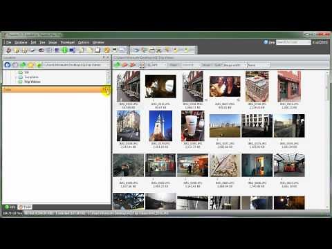 Window Layout in ThumbsPlus 8.0