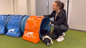 3.4K views · 18 reactions | TUNNEL BAGS!  Get to know Galican...