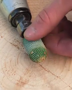 Burnt Stump Coffee Table! | DeMilked