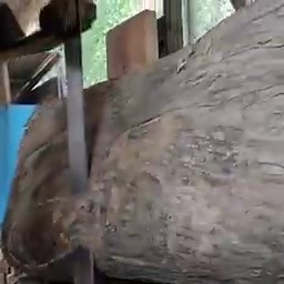 Between Believing and not teak wood got bewitched the process of processing wood at the sawmill | Boss Marko Old Account