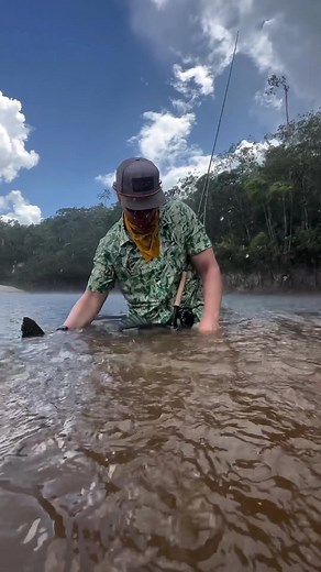 4K views · 79 reactions | Cortland Line on Reels | Facebook