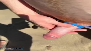 Beach bj