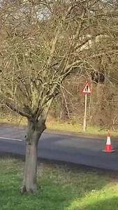 1.1K views | The Havering Daily on Reels | Facebook