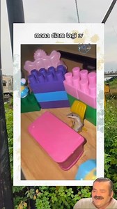 cowo sama tongkrongan : 🦁cowo sama cewe :🐅 #memes #funny #funnyvideo #fyp