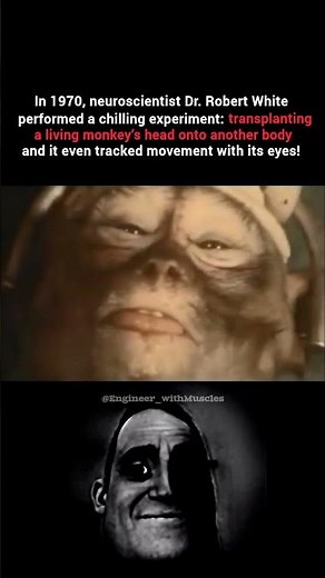 The Shocking Monkey Head Transplant Experiment of 1970 | Real Footage #space #science #facts #shorts