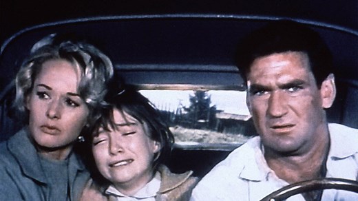 Les oiseaux - Film (1963) : diffusions TV, streaming, replay