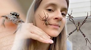 7K views · 28 reactions | Tarni Roebuck from Queensland, Australia loves spiders. One of her favourite pastimes is letting them crawl over her face! | Storytrender | Facebook