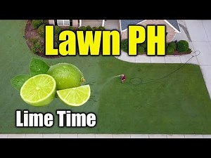 Lawn Soil PH
