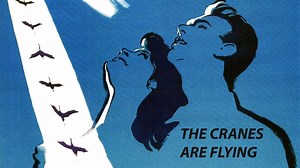 Indonesians discover Soviet WWII cinema with 'The Cranes are Flying'