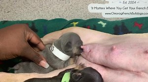 1K views · 53 reactions | Happy Monday! Torrie and Derek pack of...