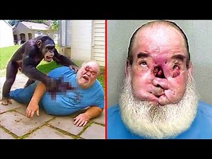 15 Pets That Ate Their Owners Right In Front Of Everyone