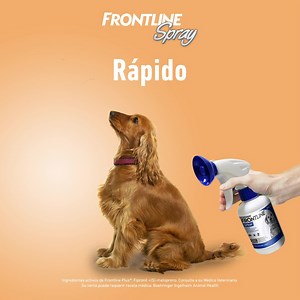 ¡La protección más sencilla y rápida contra pulgas y garrapatas! 😉☝🏼 Corre con tu Veterinario de confianza y pregunta por Frontline®️ Spray para tus mascotas. 🐶🐱 | Frontline Centroamérica